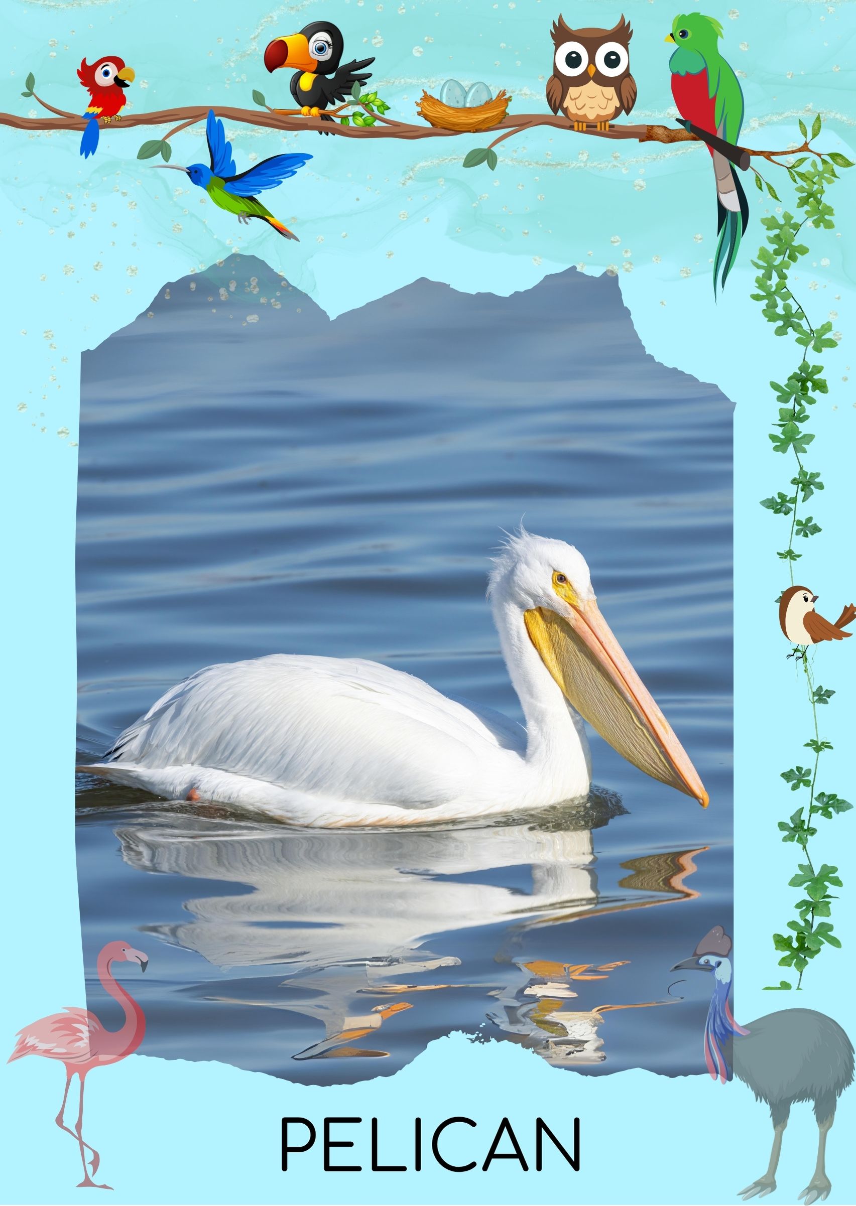 Bird 4 Front